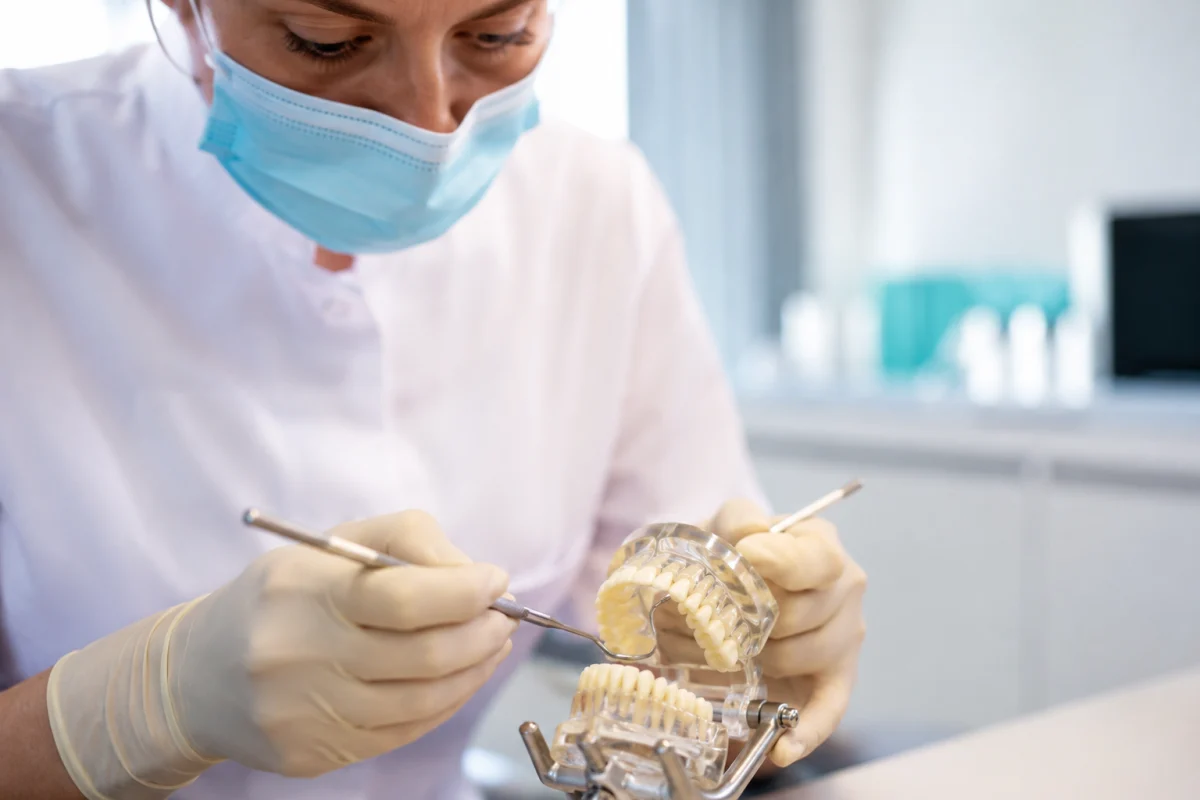 Étudiant en dentaire manipulant un modèle de mâchoire sur une table de travaux pratiques